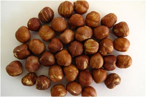  The Hazelnut Shell: A Tale from Visigothic Spain about Courage, Cunning, and One Very Curious Nut